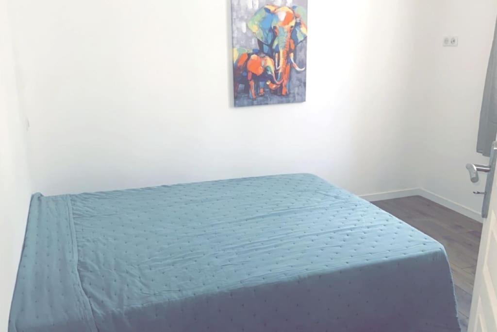 Appartement T2 Chez Thomas Et Nas Omessa Zewnętrze zdjęcie