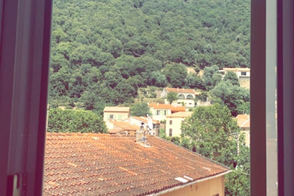 Appartement T2 Chez Thomas Et Nas Omessa Zewnętrze zdjęcie